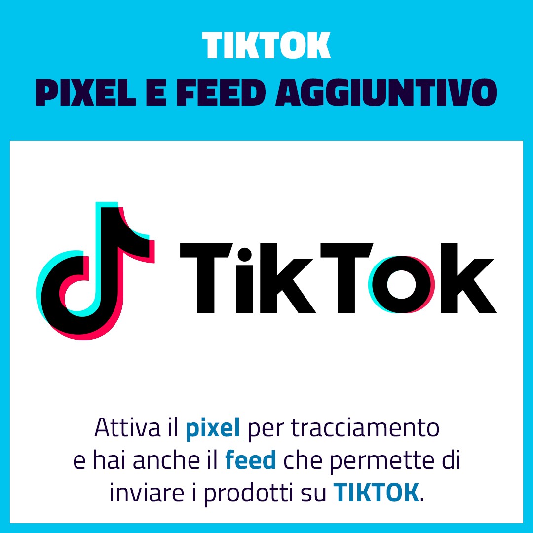 Pixel e feed Tik Tok